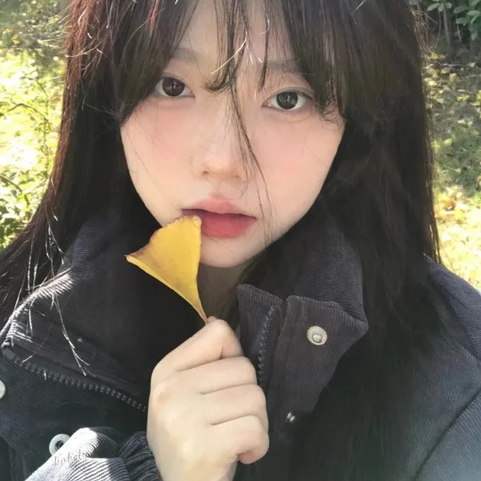 归队